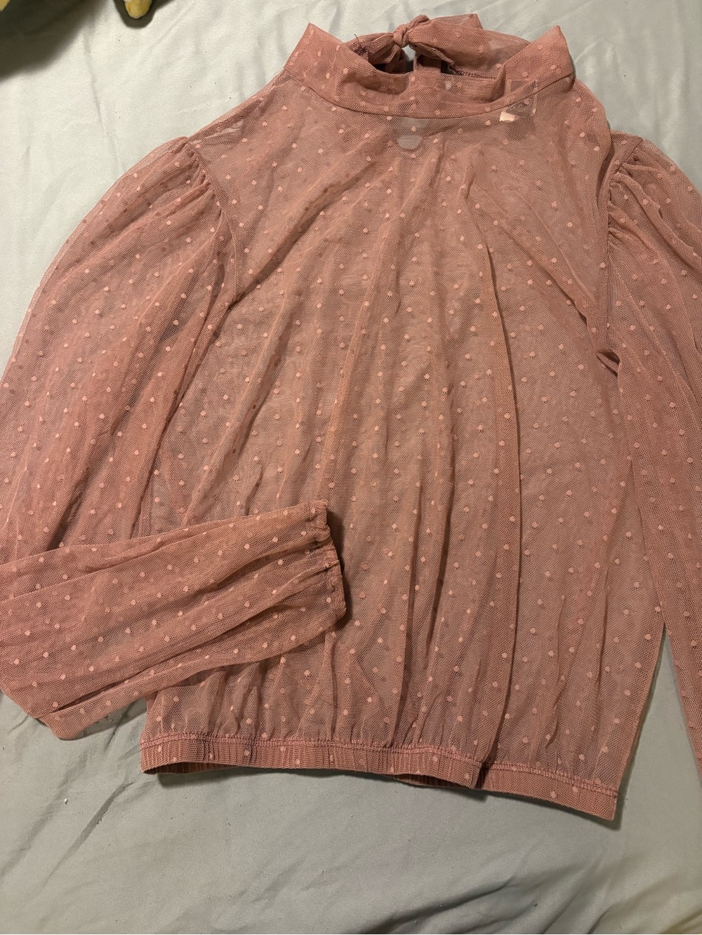 💥NWOT! Windsor sheer mock neck long sleeve